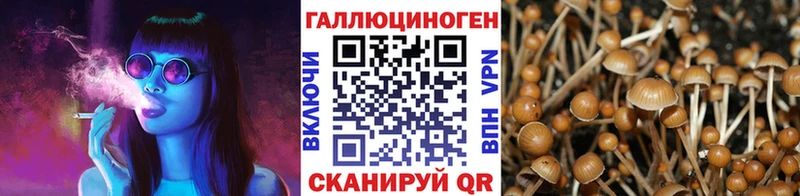 Псилоцибиновые грибы Magic Shrooms  кракен зеркало  Ярцево 