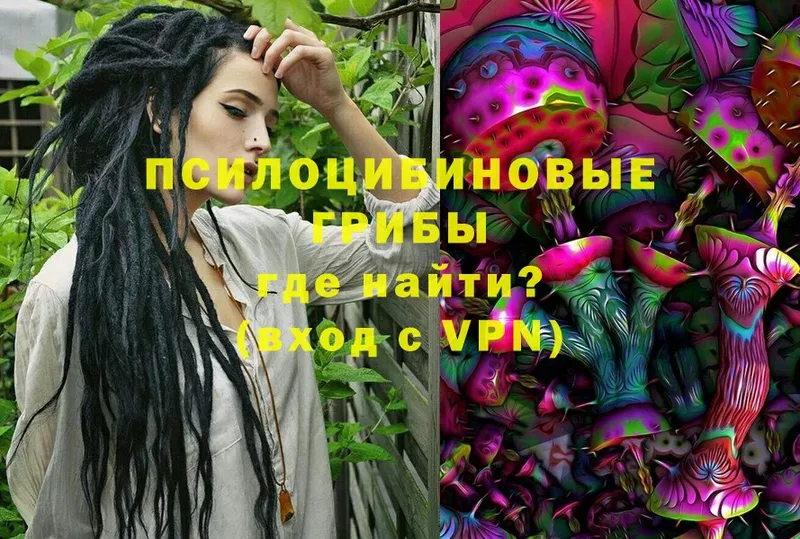 Псилоцибиновые грибы Magic Shrooms  Ярцево 