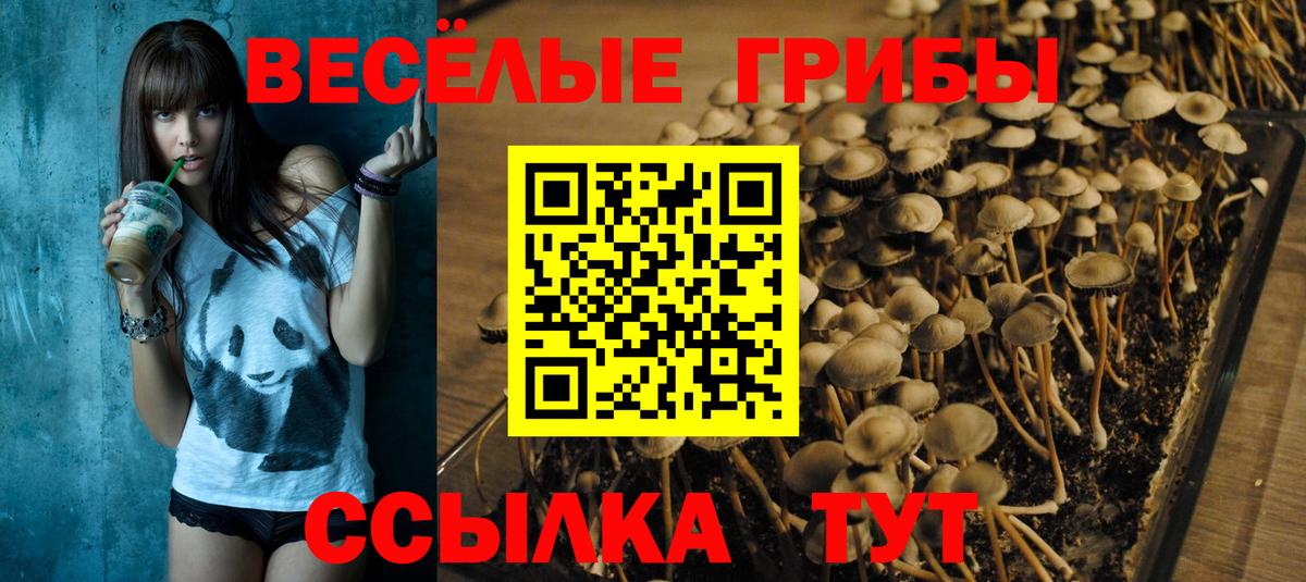 Галлюциногенные грибы GOLDEN TEACHER Ярцево
